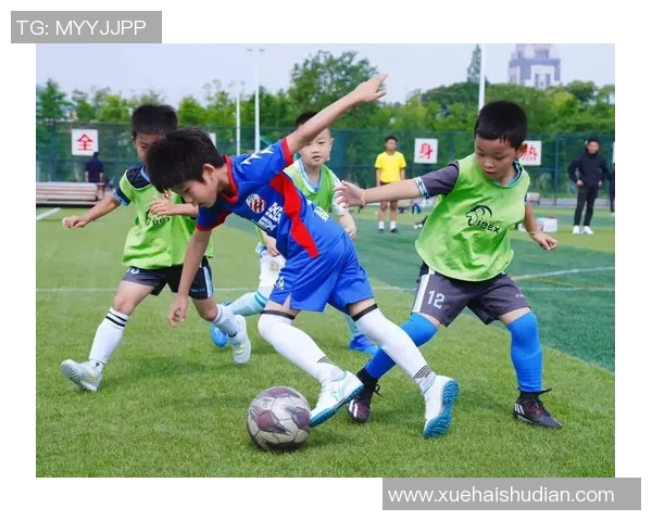 当红足球球星齐聚综艺绿茵场激情对决展现球技与魅力